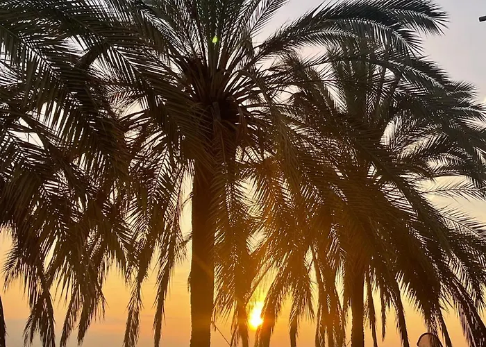 En Front De Apartament *